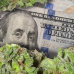 cannabis-investire